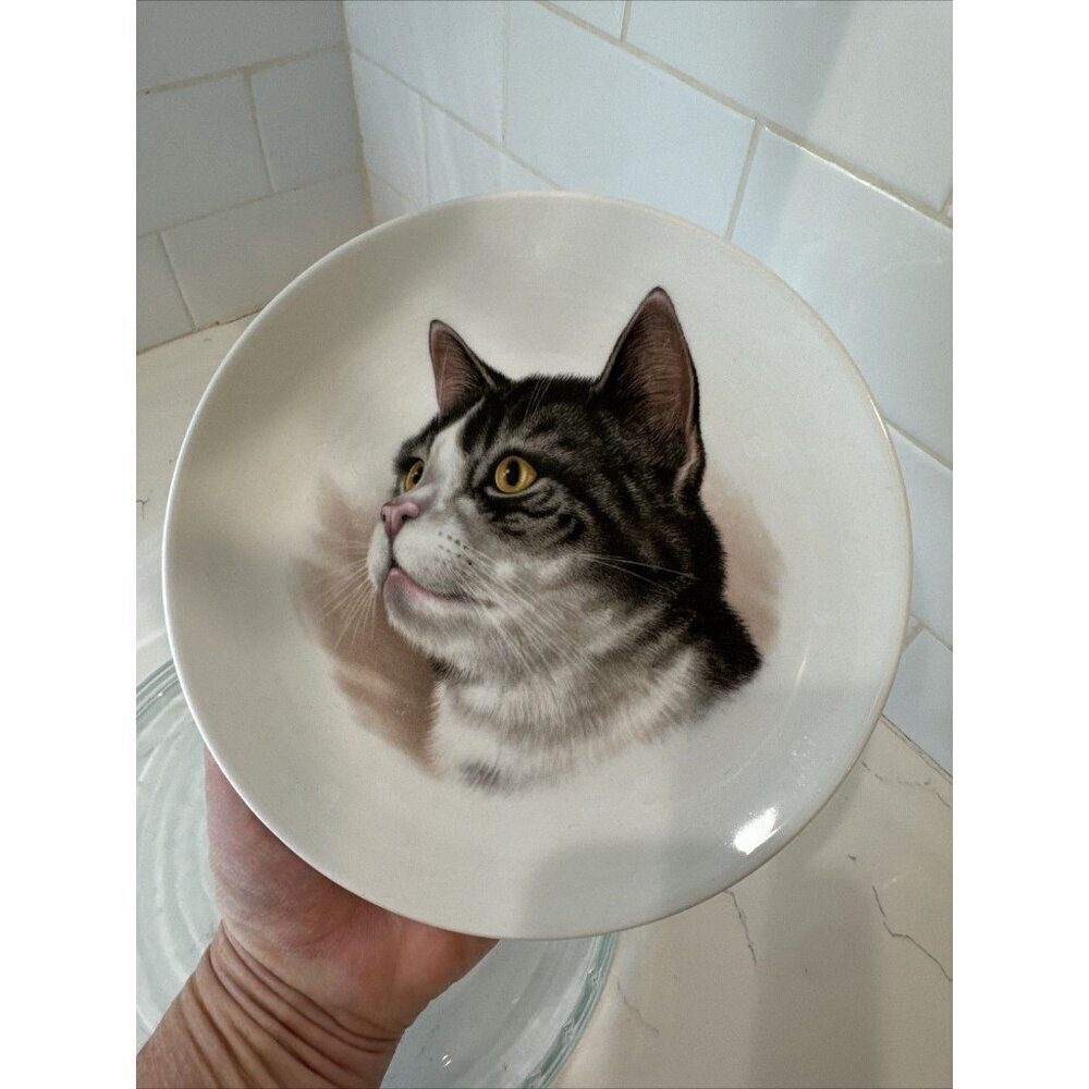 Schumann Arzberg Germany Bavaria Gray Cat Plate 7 1/4" Golden Crown E&R - Picture 2 of 8